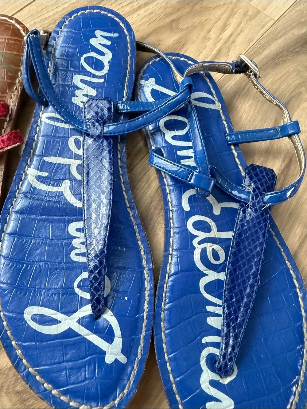 Sam Edelman 2-Pair Gigi Sandals 7 Blue Snake and Red Snake